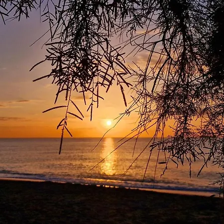 Apartamento Salinalux Playa *